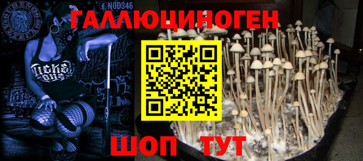 Галлюциногенные грибы Psilocybe  Вход с VPN  Галлюциногенные грибы Psilocybine cubensis  Лесосибирск 